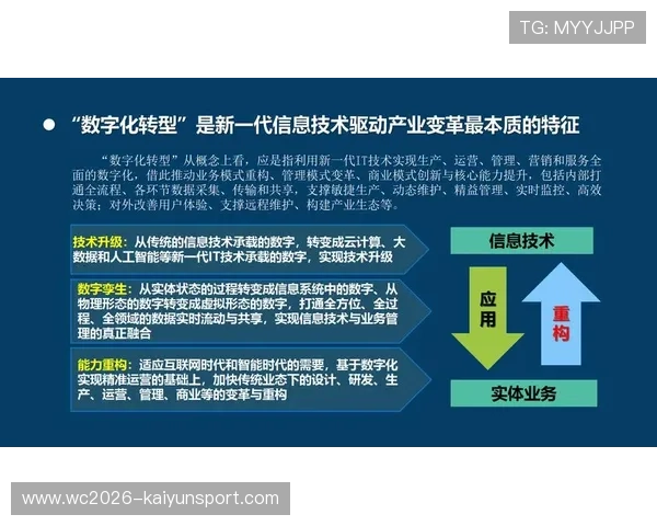 www.kaiyun.com 开云官网登录入口信息技术驱动下的企业数字化转型与创新应用探索
